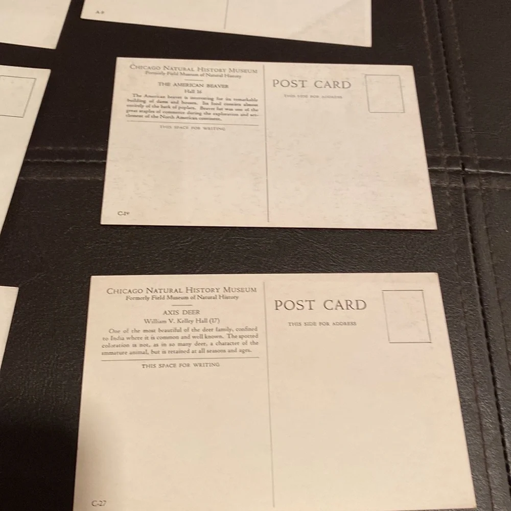 9 Vintage postcards of Chicago. 6 are of the natural history museum circa 1940